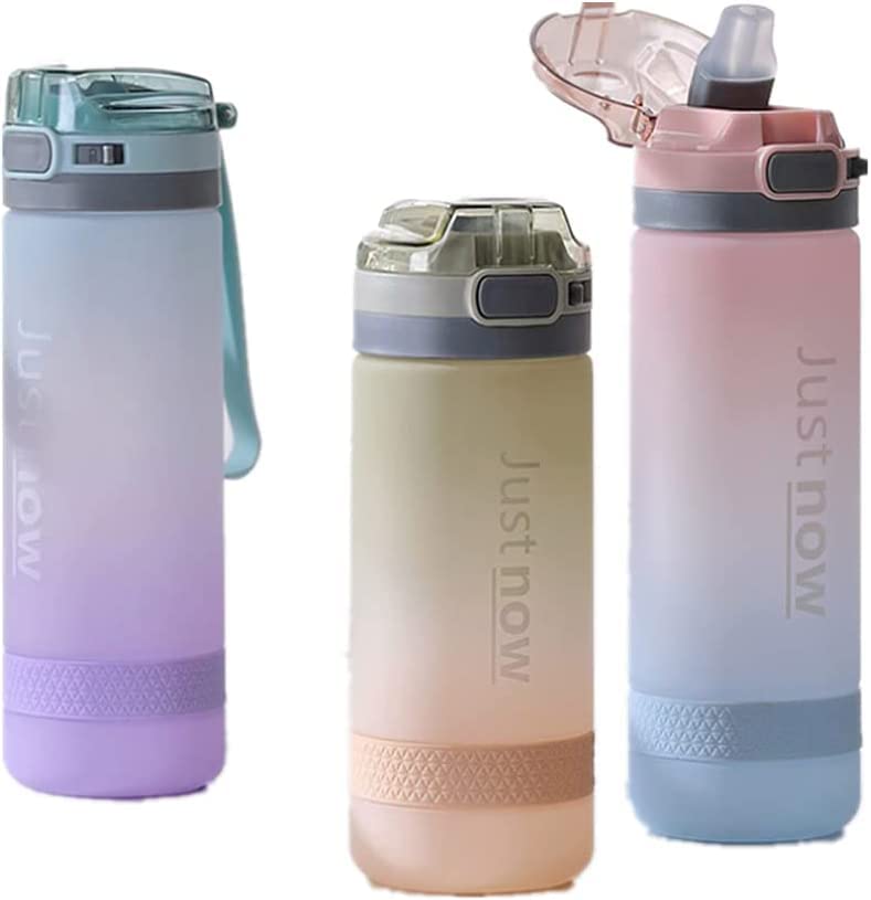 水筒　タンブラー　ポータブルドリンクストロー　650ml 31eeWYLFCPL._UF350,350_QL50_.jpg